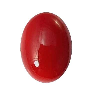 Natural Coral From NY Bold & Trendy