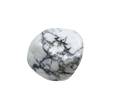 Natural Howlite From NY Bold & Trendy